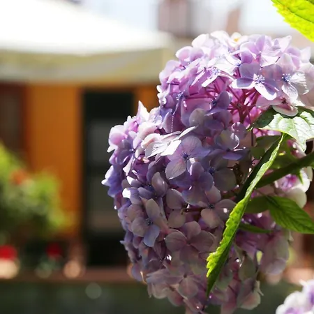 Bed & Breakfast Rosaria Amalfi Coast Vietri