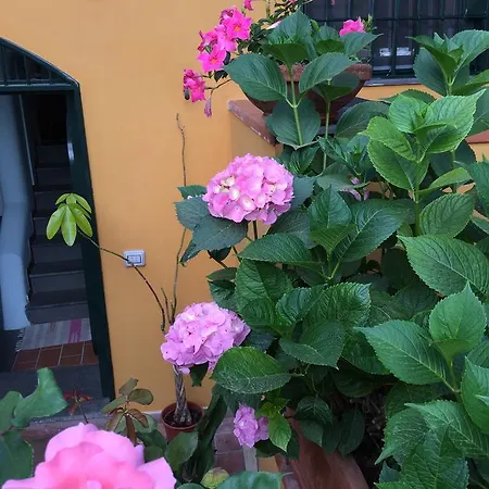 Rosaria Amalfi Coast Bed & Breakfast 3*